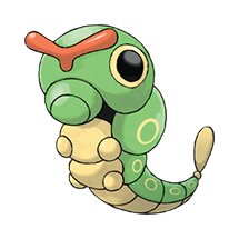 picture of a caterpie