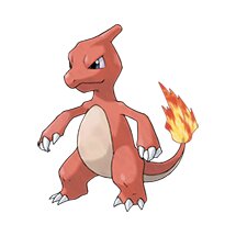picture of a charmeleon