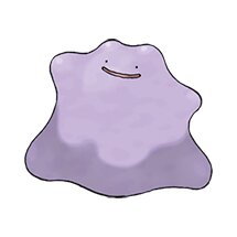 picture of a ditto