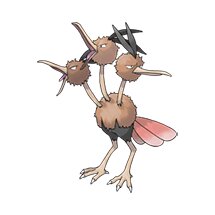 picture of a dodrio