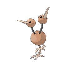 picture of a doduo