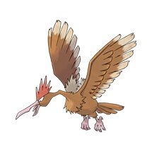 picture of a fearow