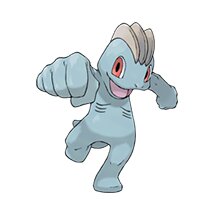 picture of a machop