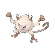 picture of a mankey