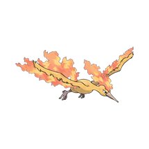 picture of a moltres