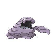 picture of a muk