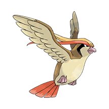 picture of a pidgeot