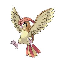 picture of a pidgeotto