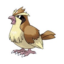 picture of a pidgey