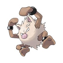 picture of a primeape