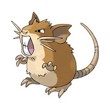 picture of a raticate