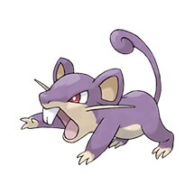 picture of a rattata