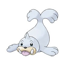 picture of a seel