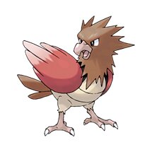 picture of a spearow