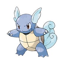 picture of a wartortle