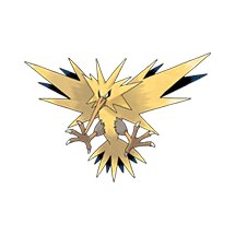 picture of a zapdos